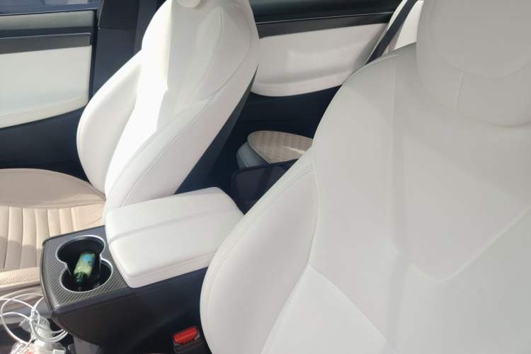 Used Tesla Model X 2017 X 100D Long Range Edition Left Front Seat