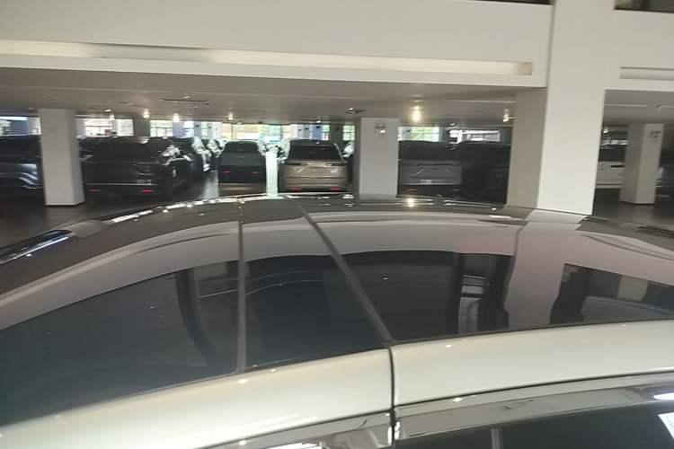 Used Tesla Model X 2017 X 100D Long Range Edition Roof