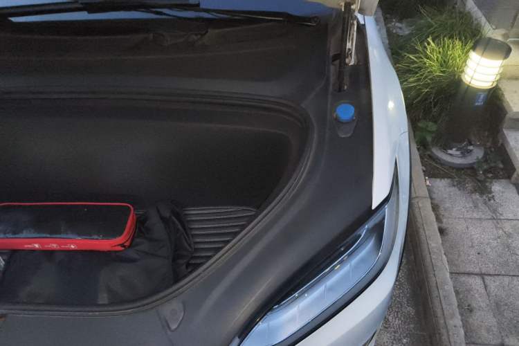 Used Tesla Model X 2017 X 100D Long Range Edition Engine Bay Left