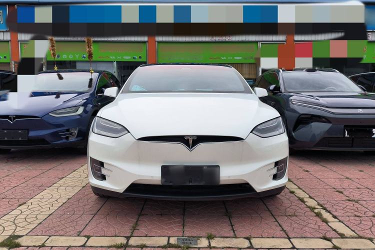 Used Tesla Model X 2017 X 100D Long Range Edition Exterior 1