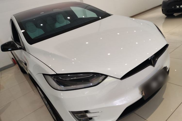 Used Tesla Model X 2017 X 100D Long Range Edition Exterior 1