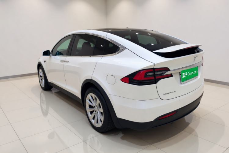 Used Tesla Model X 2017 X 100D Long Range Edition Exterior 3