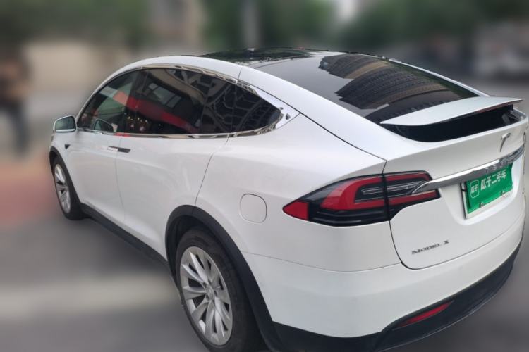 Used Tesla Model X 2017 X 100D Long Range Edition Exterior 3