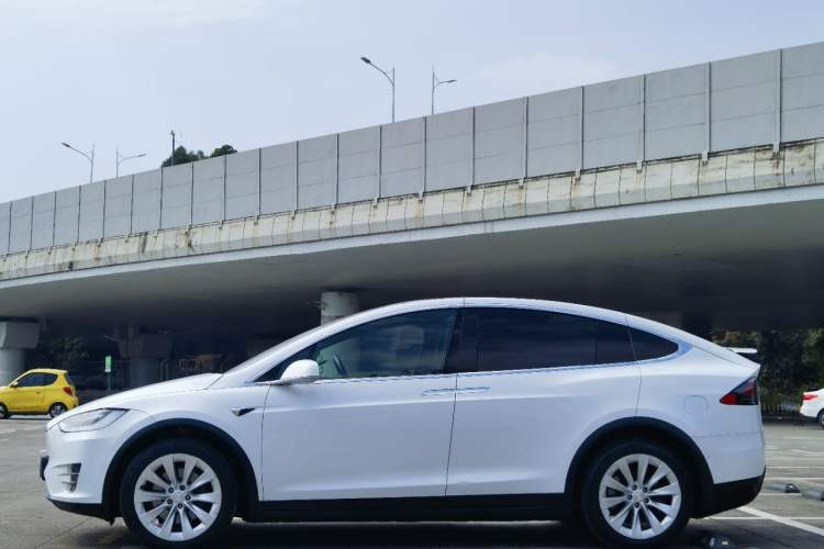 Used Tesla Model X 2017 X 100D Long Range Edition Exterior 3