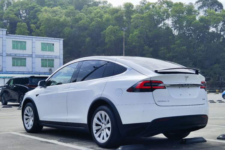 Used Tesla Model X 2017 X 100D Long Range Edition Exterior 4