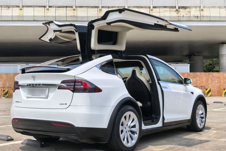 Used Tesla Model X 2017 X 100D Long Range Edition Exterior 5