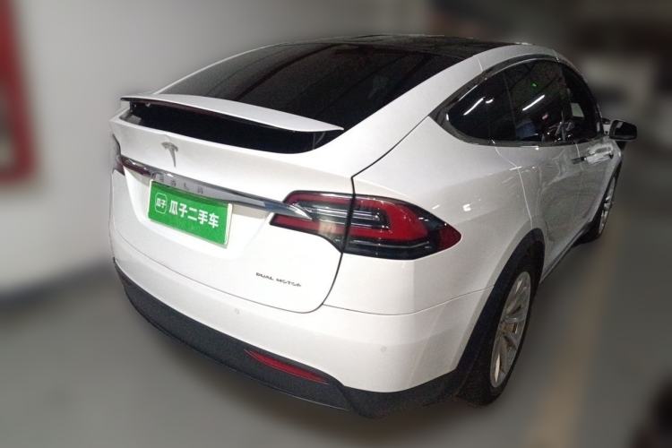 Used Tesla Model X 2017 X 100D Long Range Edition Exterior 5