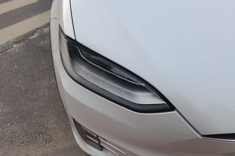 Used Tesla Model X 2017 X 100D Long Range Edition Exterior 6
