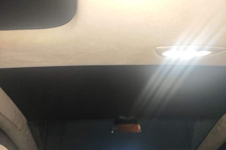 Used Tesla Model X 2017 X 100D Long Range Edition Headliner