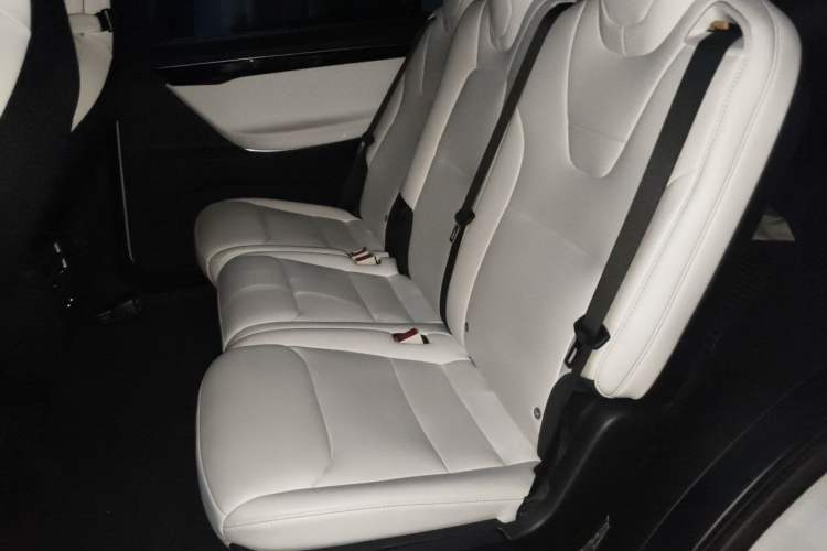 Used Tesla Model X 2017 X 100D Long Range Edition Left Rear Seat