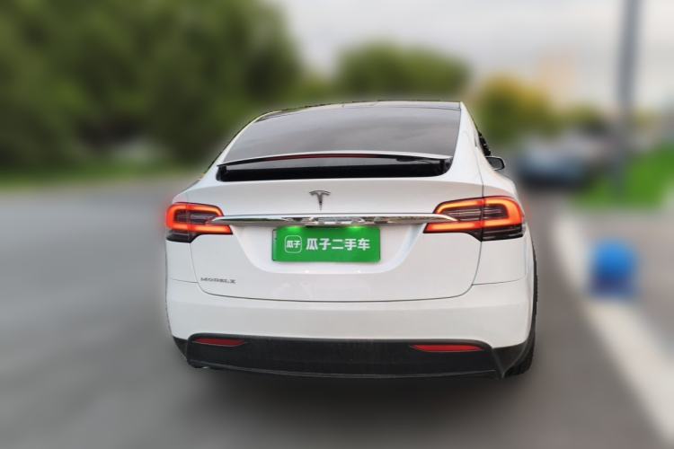 Used Tesla Model X 2017 X 100D Long Range Edition Rear
