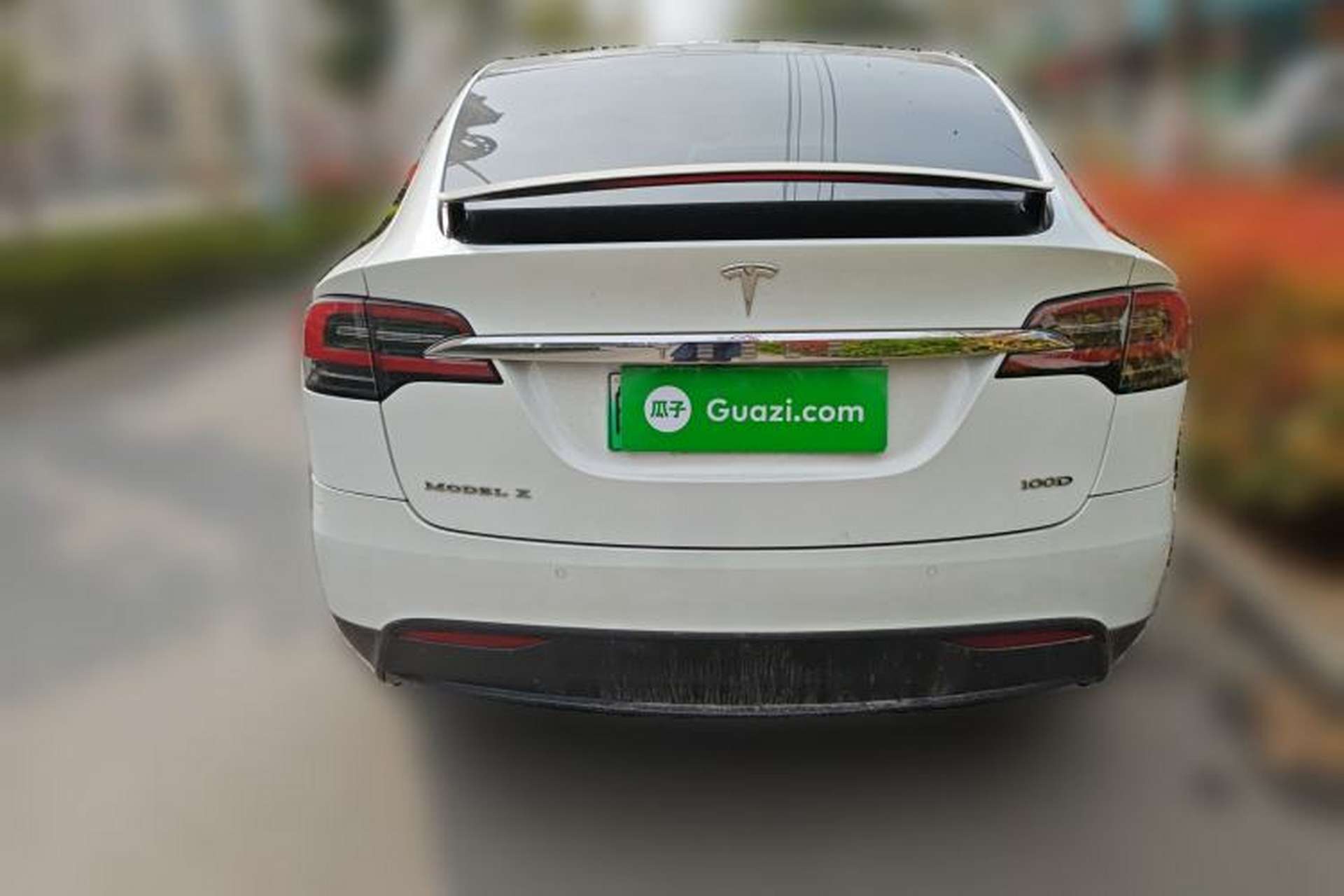 Used Tesla Model X 2017 X 100D Long Range Edition Rear