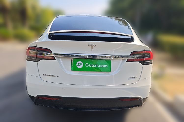 Used Tesla Model X 2017 X 100D Long Range Edition Rear