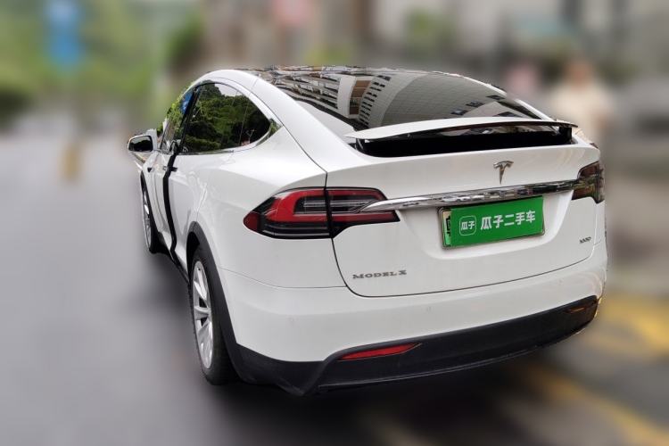 Used Tesla Model X 2017 X 100D Long Range Edition Rear Left 45 Deg