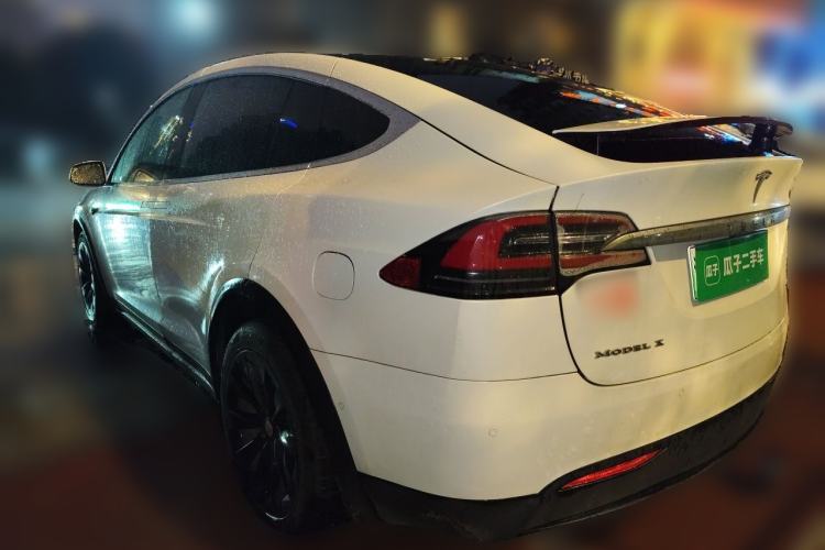 Used Tesla Model X 2017 X 100D Long Range Edition Rear Left 45 Deg