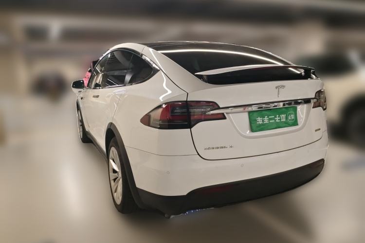 Used Tesla Model X 2017 X 100D Long Range Edition Rear Left 45 Deg