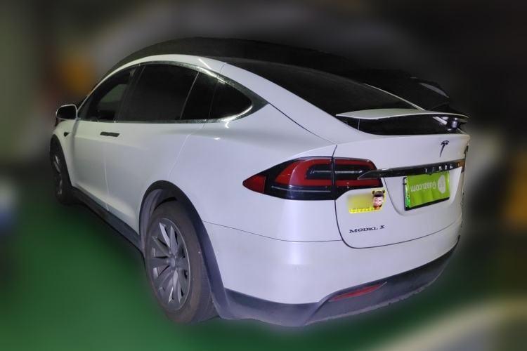 Used Tesla Model X 2017 X 100D Long Range Edition Rear Left 45 Deg