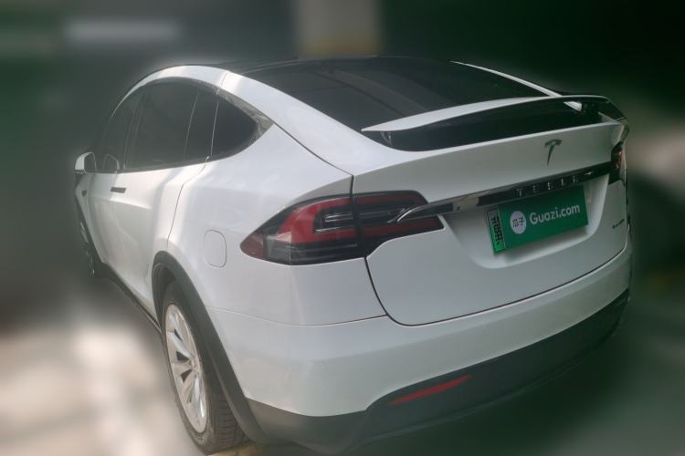 Used Tesla Model X 2017 X 100D Long Range Edition Rear Left 45 Deg