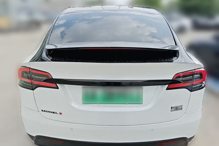 Used Tesla Model X 2017 X 100D Long Range Edition Rear