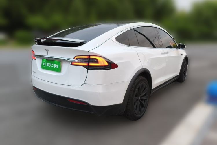 Used Tesla Model X 2017 X 100D Long Range Edition Rear Right 45 Deg