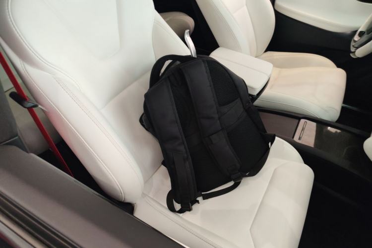 Used Tesla Model X 2017 X 100D Long Range Edition Right Front Seat