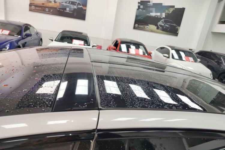 Used Tesla Model X 2017 X 100D Long Range Edition Roof