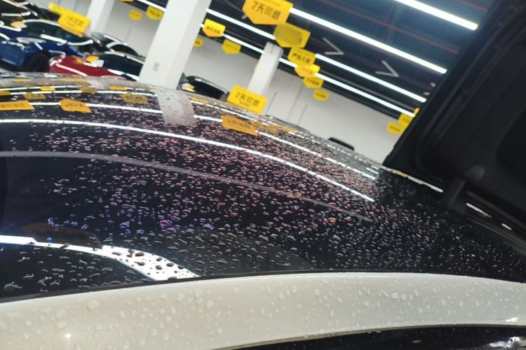 Used Tesla Model X 2017 X 100D Long Range Edition Roof