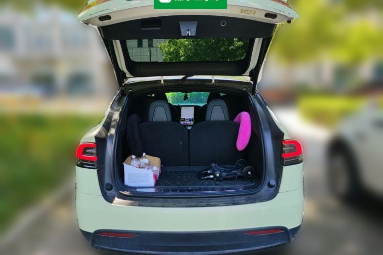 Used Tesla Model X 2017 X 100D Long Range Edition Trunk