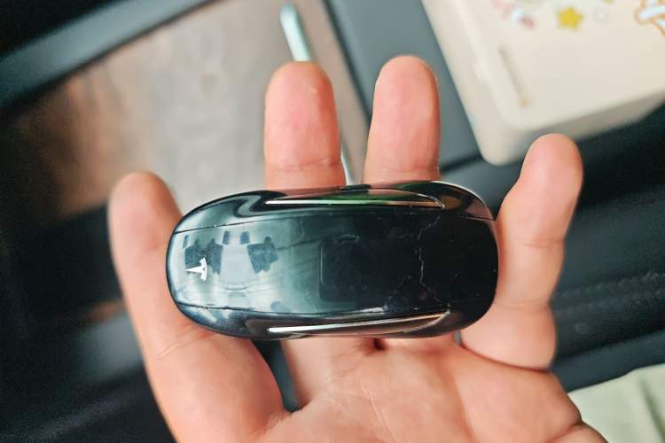 Used Tesla Model X  Vehicle Key