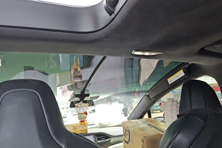 Used Tesla Model X 2019 Performance High-Performance Edition Headliner