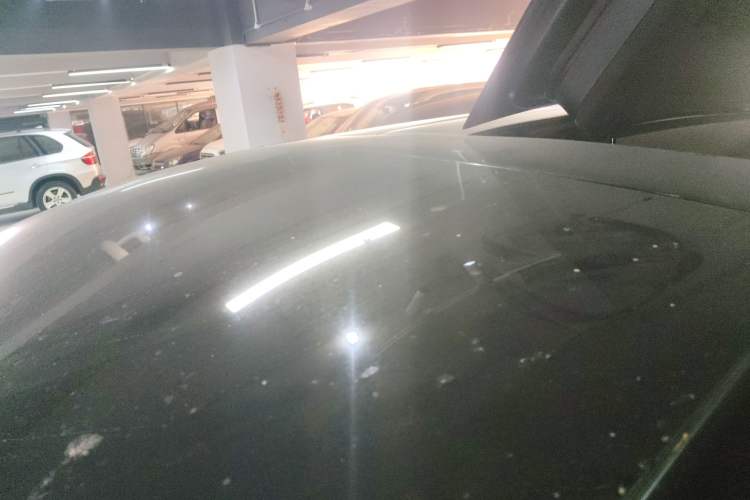Used Tesla Model X 2019 Long-Range Version Roof