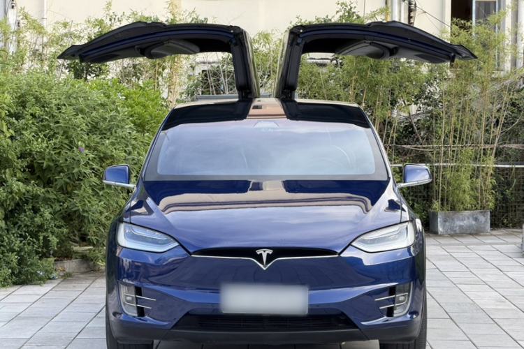 Used Tesla Model X 2019 Long-Range Version Exterior 5