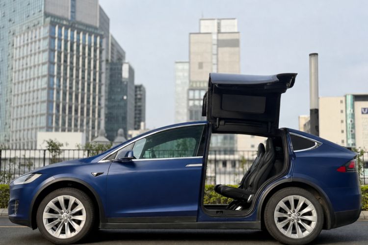 Used Tesla Model X 2019 Long-Range Version Exterior 6