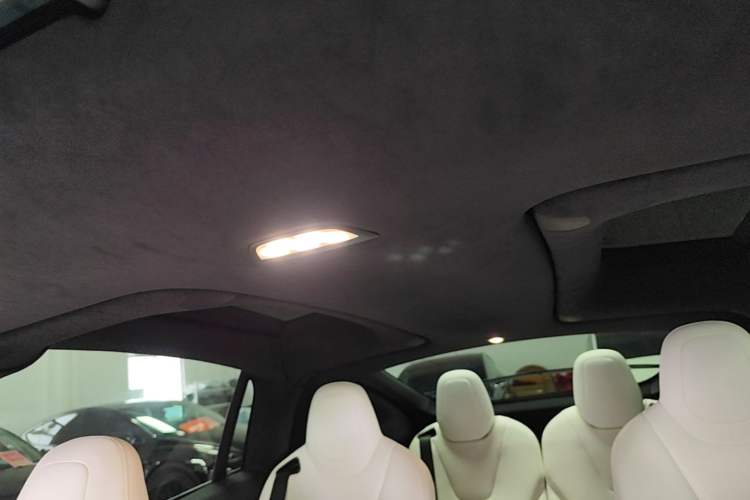 Used Tesla Model X 2019 Performance High-Performance Edition Headliner