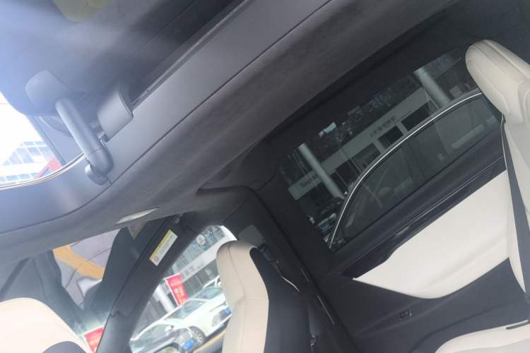 Used Tesla Model X 2019 Performance High-Performance Edition Headliner