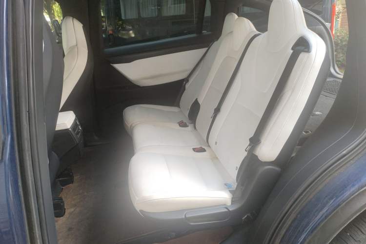 Used Tesla Model X 2019 Performance High-Performance Edition Left Rear Seat