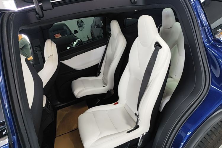 Used Tesla Model X 2019 Performance High-Performance Edition Left Rear Seat