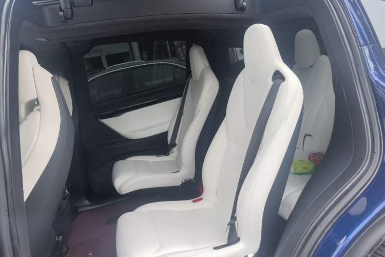 Used Tesla Model X 2019 Performance High-Performance Edition Left Rear Seat
