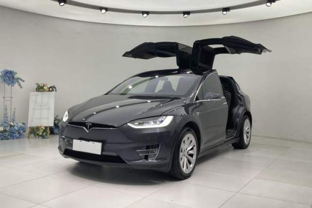 Used Tesla Model X 2019 Long-Range Version