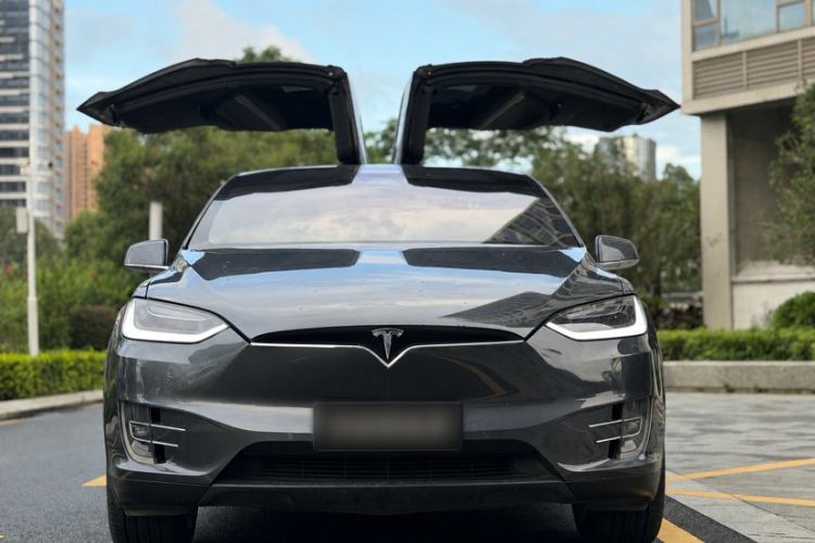 Used Tesla Model X 2019 Long-Range Version Exterior 1