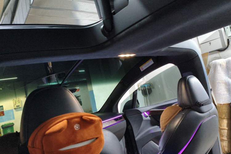 Used Tesla Model X 2019 Long-Range Version Headliner