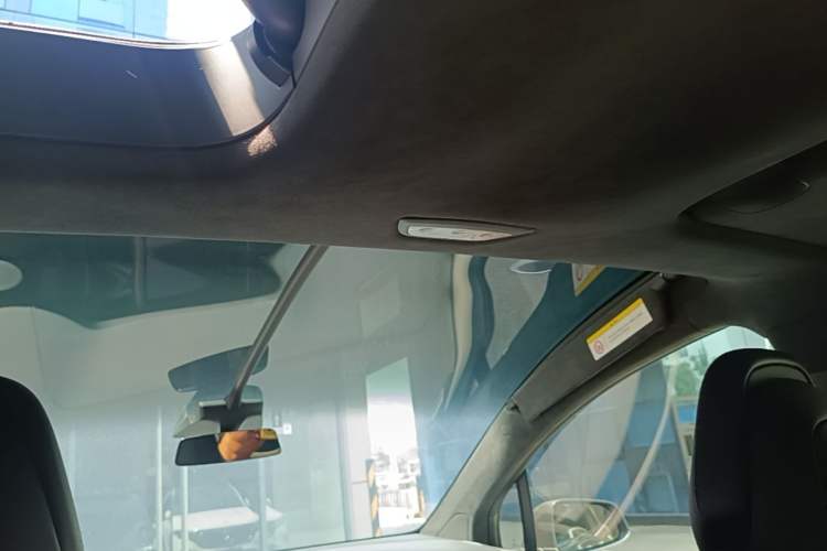 Used Tesla Model X 2019 Performance High-Performance Edition Headliner