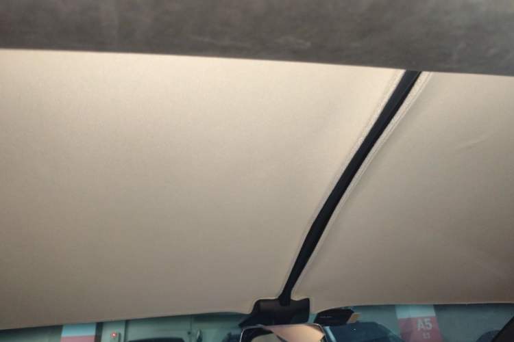 Used Tesla Model X 2019 Long-Range Version Headliner