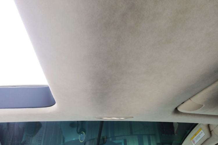 Used Tesla Model X 2019 Performance High-Performance Edition Headliner