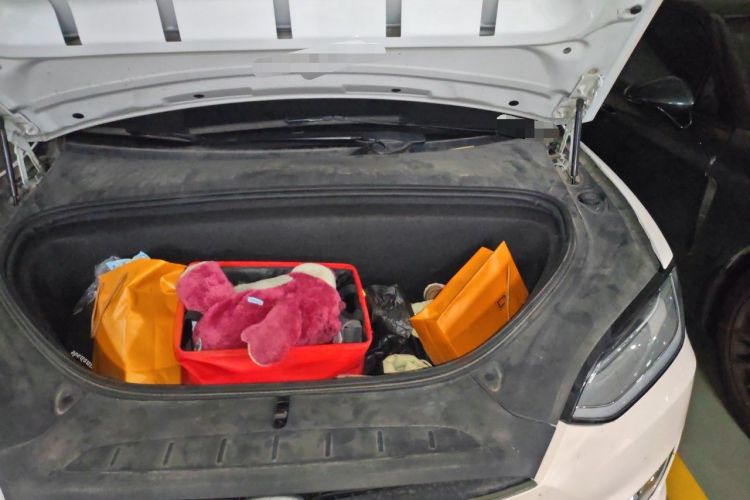 Used Tesla Model X 2019 Long-Range Version Engine Bay Left