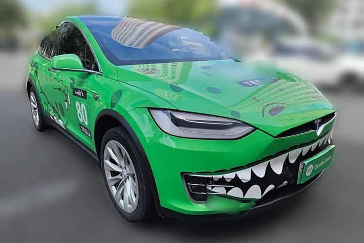 Used Tesla Model X 2019 Standard Range Version Exterior 2