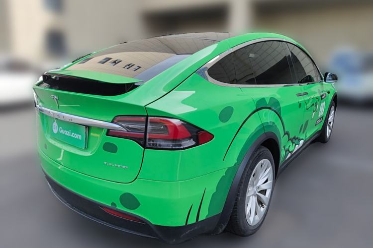 Used Tesla Model X 2019 Standard Range Version Exterior 5