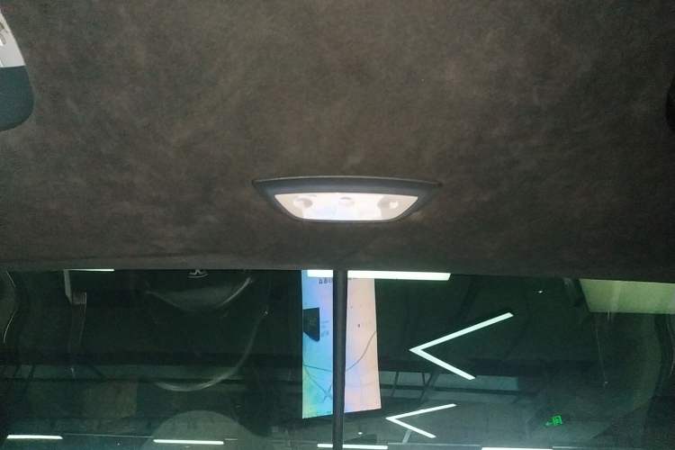 Used Tesla Model X 2019 Performance High-Performance Edition Headliner