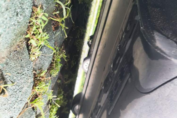 Used Tesla Model X 2019 Long-Range Version Chassis Rear Right