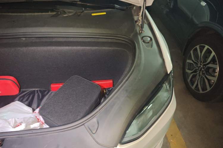 Used Tesla Model X 2019 Standard Range Version Engine Bay Left